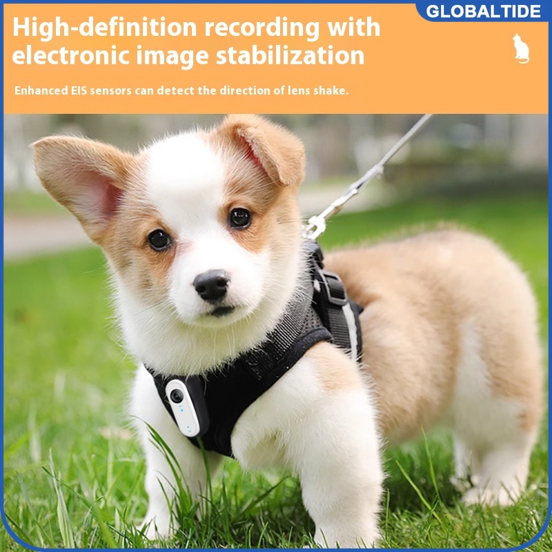 Outdoor Adventure Video - Mini telecamera impermeabile per cani e