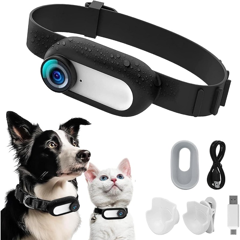 Telecamera per collare per ani - Outdoor Adventure Video recensione e prezzo